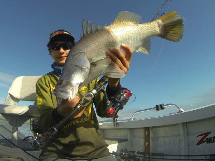 Targeting Cool Weather Barramundi By Luke Vella As the winter months start to roll in, a lot of angler's put their barramundi gear away and start to target species like whiting, bream and flathead
