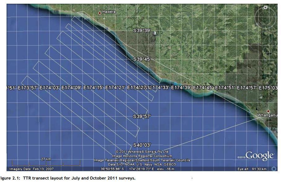 Issues with Cawthorn survey (Report 24) Height not appropriate for marine mammal survey (as described by Wursig) Transects along shore not perpendicular to shore Transects too far apart (and