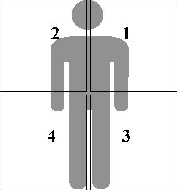 THE QUADRANTS As you face the bag ready to strike, imagine the bag as your opponent or an attacker. Imagine that the bag is dissected with horizontal and vertical lines (refer to diagram above).