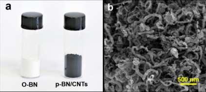 Figure S1. (a) The photograph of O-BN and p-bn/cnts. (b) SEM image of p-bn/cnts. Figure S2. (a) Raman spectrum, (b) Thermogravimetric analysis of p-bn/cnts.