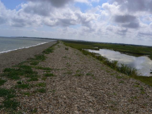 Inland is reclaimed salt marsh.