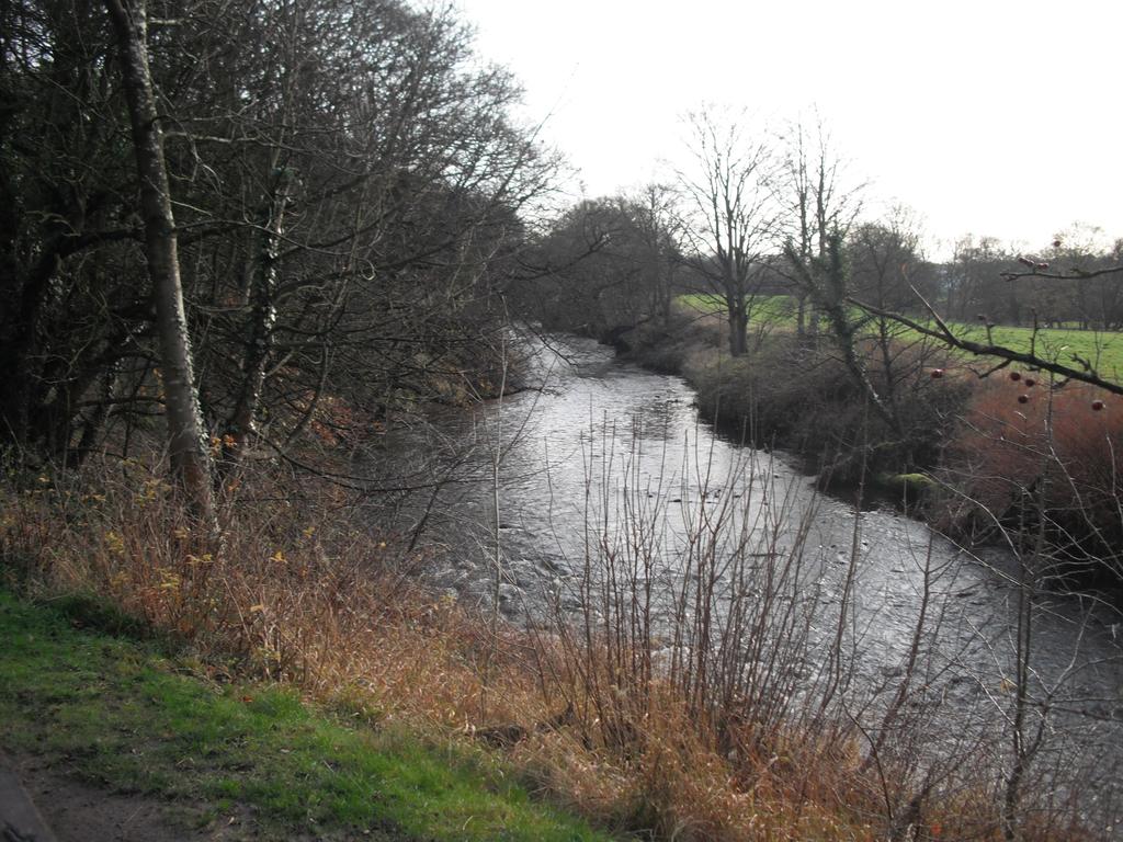 The River Tame in
