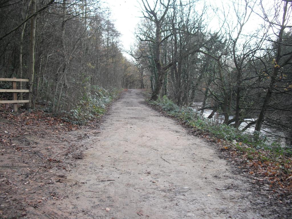 track in Hulmes Wood