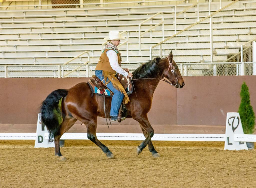 I love the philosophy of Cowboy Dressage; having the sensitivity and awareness to feel and receive messages sent by the horse.
