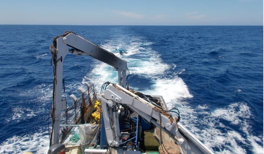 7 Global highlights EU / Mediterranean / Fisheries: In ruary 2019, the European Commission reached an agreement to establish a multi-annual plan for fish stocks in the Western Mediterranean Sea.