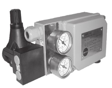 gauge are included in the scope of positioner