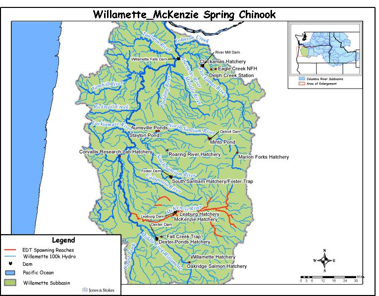 Hatchery Scientific Review Group Review and Recommendations Willamette McKenzie Spring Chinook Salmon