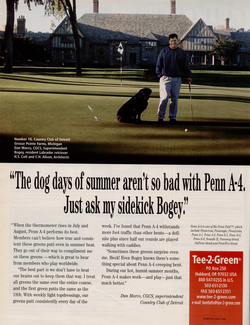 "The dog days of summer aren't so bad with Pei A-4. Just ask my sidekick Bogey," "When the thermometer rises in July and August, Penn A-4 performs its best.