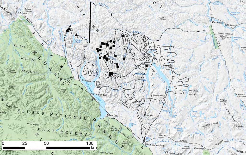 Figure 2. Locations where animals in the Aishihik (squares) and Kluane (triangles) mountain caribou herds were marked (4 7 March 2009).