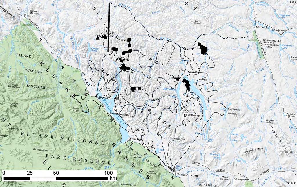 Figure 3. Locations where animals in the Aishihik (squares) and Kluane (triangles) mountain caribou herds were observed during the first resighting session (7 9 March 2009).