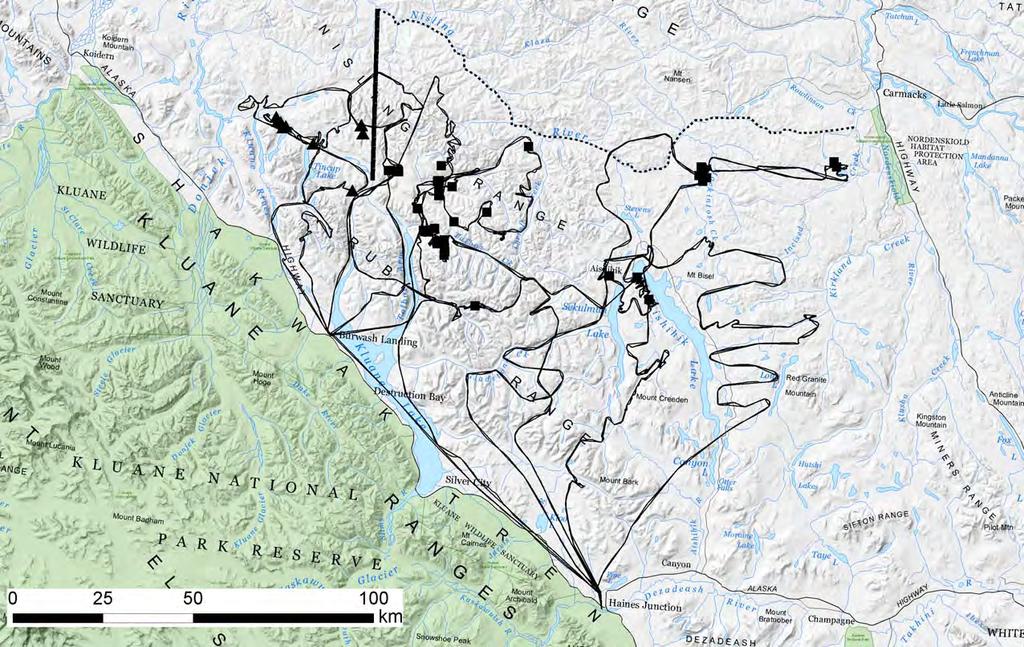 Figure 4. Locations where animals in the Aishihik (squares) and Kluane (triangles) mountain caribou herds were observed during the second resighting session (10 15 March 2009).