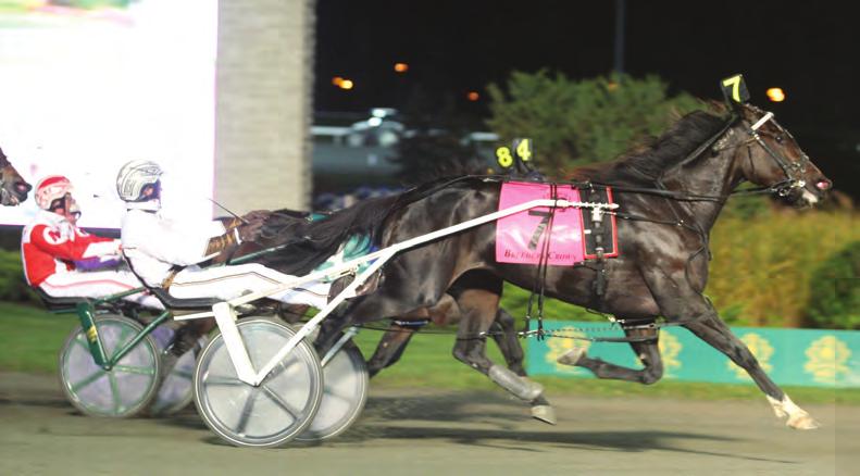 The undefeated Breeders Crown champion is now a leading sire in the breed BROADWAY HALL 2, 1:56.