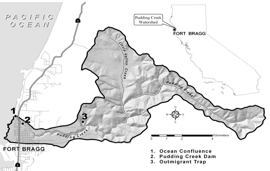 GENERAL TECHNICAL REPORT PSW-GTR-238 Methods Project area The project area includes all fish-bearing stream reaches (approximately 22 km) within the Pudding Creek watershed (fig. 1).