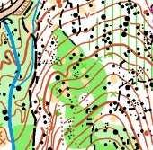 Middle map - Mechata dupka Terrain form Moderately steep to steep hills. Terrain with a lot of micro contours and stones.