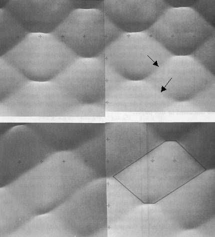 Figure 7: Two 2-dimensional surface patterns of nearly permanent form, propagating in shallow water.(hammack et al.