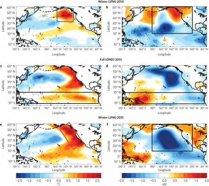 Marine Heat Wave 2014/2015 SST SLP Anomalous winter winds decrease 2014 nutrients and chlorophyll in the NE Pacific Transition Zone to lowest levels since