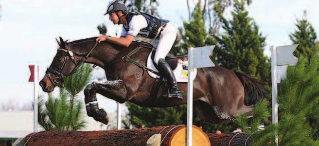 In this new and exciting format, the Equestrian Grand Final is sure to become one of