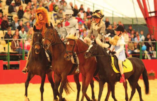 In this electrifying 3-day Horsemanship Challenge, all three trainers are given unhandled horses, which are trucked directly from the paddock and loaded straight into roundpens in the arena to ensure