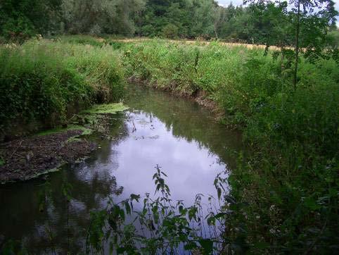 A view of the How Capel Brook looking upstream of the weir.