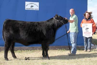 Both sides of his pedigree have calving ease and performance.