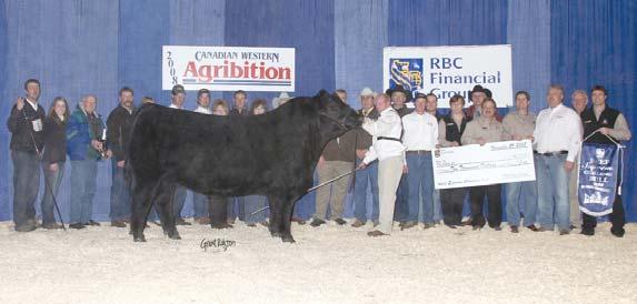 A full sister won her division at Agribition last year and a full brother sells as Lot 35. Another maternal sister won her class at the World Soo Line Yellowstone 6344 Angus Forum.