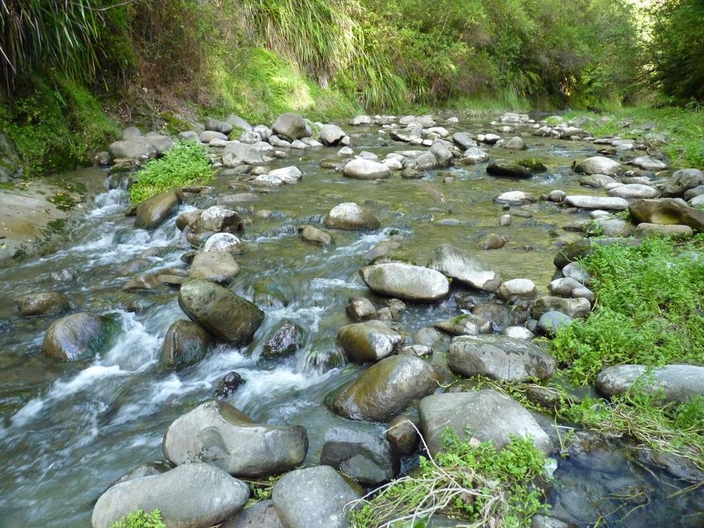 Other areas of the lower Kakariki Stream provide diverse habitat Mangaturanga Stream An incised stream of low gradient in the lower reaches with extensive pools lined with papa bedrock and a gravel