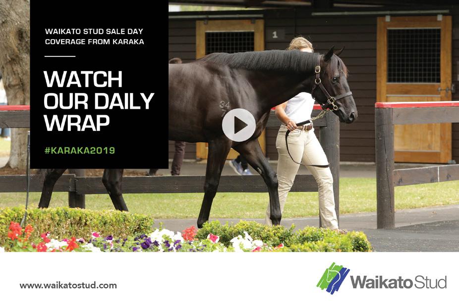 4 / EDITORIAL GOLDEN DAY FOR WAIKATO STUD AT KARAKA (CONT D) Also featuring in this family is the Gr.2 Auckland Thoroughbred Breeders Stakes winner Balmacara.