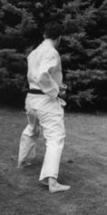 21) Pull the left hip sharply back and prepare the arms, as in Kihon kata.