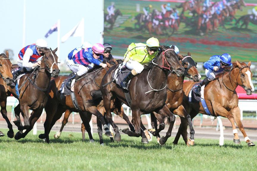 Photo: La Passe winning Group 2 Blazer Stakes in the Spring of 2015. Details of the performance(s) of the Dam: Pirouettes, by Danehill Dancer (Ire). 4 wins 2 at 2 1000 to 1400m, $170,500, AJC Rugby.