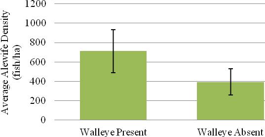 RESULTS Higher alewife density was associated with the presence of walleye in Otsego Lake (Figure 1&2).