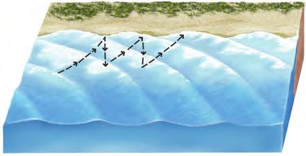 How Do Sand and Other Sediment Get Moved on a Beach? Coasts and Changing Sea Levels 485 1.