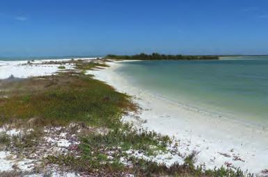 Many barrier islands are barely above sea level and consist of loose sand, including sand dunes, and saltwater marshes. 3.