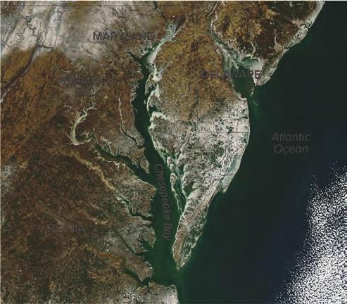 Coastlines adjust their appearance, sometimes substantially, if sea level rises or falls relative to land.