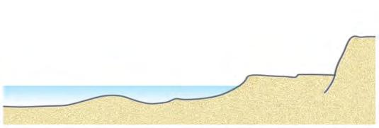 Faulting and other tectonic activity can raise parts of the coastal zone above sea level, or drop parts of the land, submerging areas along the coast. 5.