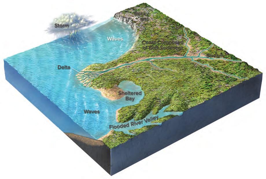 What Factors Affect the Appearance of a Coast?