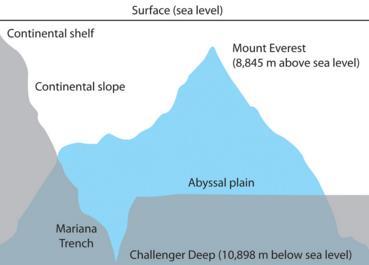 PRACTICE: PRESSURE / MARIANA TRENCH PRACTICE: The deepest known point on Earth is called the Mariana Trench, at ~11,000 m (~36,000