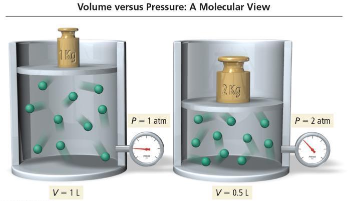 Molecular Interpretation of Boyle s Law As the volume of a gas sample decreases, gas