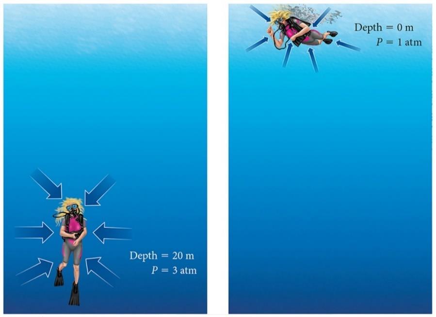 Boyle s Law and Diving (1 of 2) For every 10 m of depth, a diver experiences approximately one additional atmosphere of
