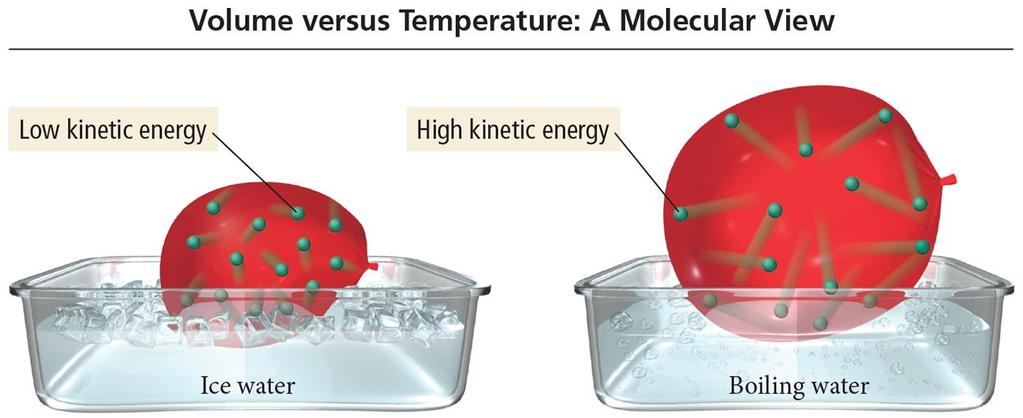 Charles s Law A Molecular View (1 of 2) If we move a balloon from an ice water bath to a boiling water bath, its volume