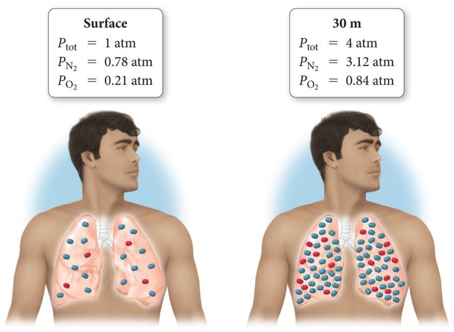 high partial pressure of oxygen in the lungs