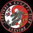 RULES: Dragon Fight Light-contact The main principle of this discipline is to encourage fight spirit among young athletes and ordinary members of martial art clubs without being exposed to an