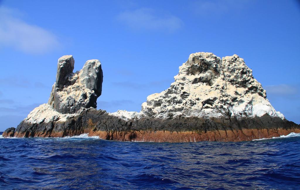Socorro Islands If you are in search of large pelagic creatures HUGE creatures in multiple numbers Socorro is the place for you!