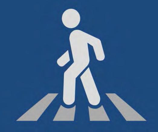 Emphasis areas and action plans Pedestrian Safety Additional crash report fields for pedestrians Encourage Use