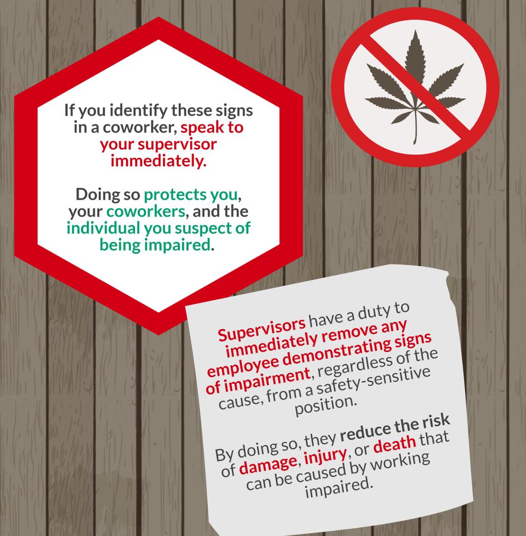 CANNABIS IMPAIRMENT Impairment in workplaces Workers who are impaired on the job whether by alcohol or drugs are a danger to their coworkers and themselves.