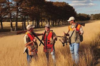 The dramatically diverse terrain of this Hill Country created the perfect scenario for driven shooting, as well as ideal habitat for walk-up hunting of Texas bobwhite quail.