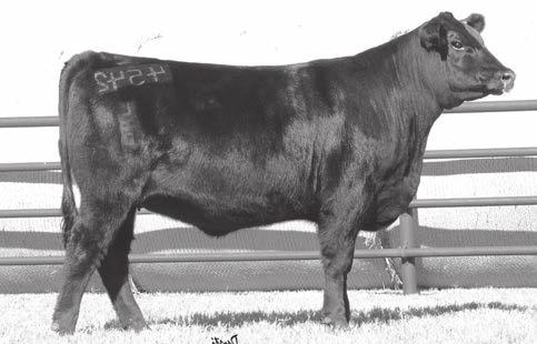 Bred to AAR Ten X 7008 SA on 12-1-15. 129 LHR Susie 6610-4542 - 128A LHR Susie 6610-4542 Birth Date: 8-31-2014 Cow +18286538 Tattoo: 4542 +4 +2.6 +50 +89 +28 +47.81+44.07+43.88 +126.53 +33 +.85 +.