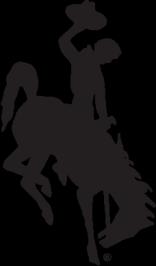 ASA Girls 16-Under & 18-Under B Fast Pitch Western National Championship Tournament Gillette, Wyoming July 30 August 3, 2014 Tentative Key Information TOURNAMENT LOCATION TOURNAMENT DIRECTOR