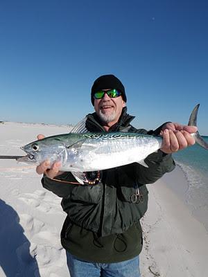 Winter Fishing Fun.Bruce Vail Got the winter doldrums? Sick of tying flies and wishing Spring was here? I may have just the solution you need. False Albacore are found in our area all year long.
