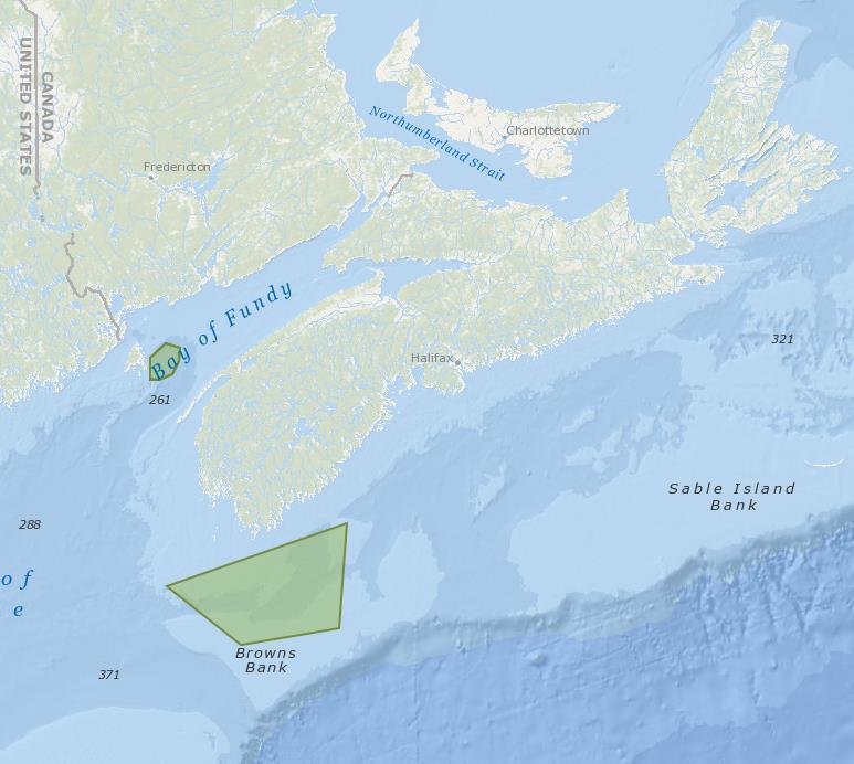 Critical Habitats: Why would they be in the Gulf of St. Lawrence? Foraging, nursing, feeding, socialising, resting, and raising calves are all necessary to the right whale's survival.