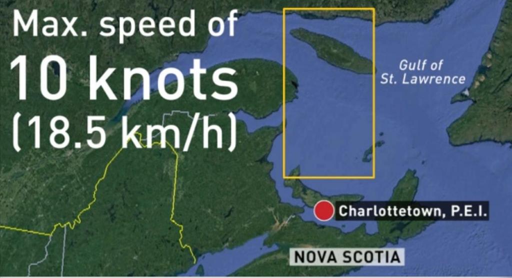 -Vessels of 20 metres or more are required to slow to 10 knots, or about 19 kilometres per hour, while travelling in the western Gulf, from the Quebec north shore to just north of Prince Edward